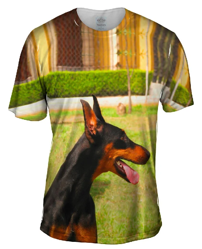 Joyous Doberman Pinscher