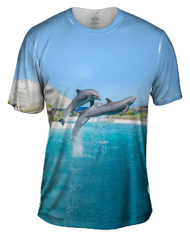 Jumping Dolphin