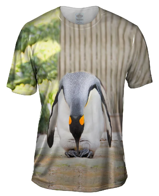 King Penguin