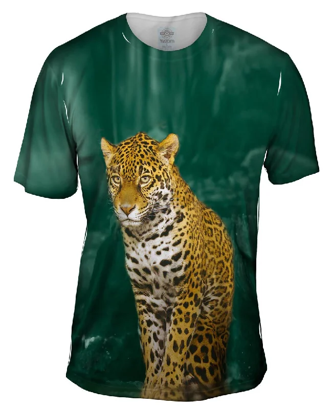 Leopard 002