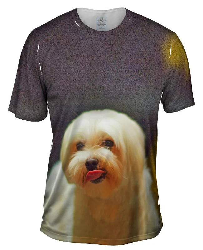 Lip Lick Maltese