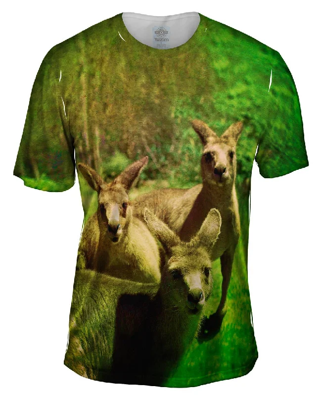 Lost Kangaroo