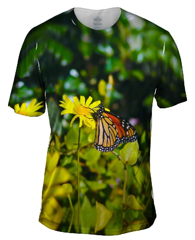 Monarch Daisy Butterfly