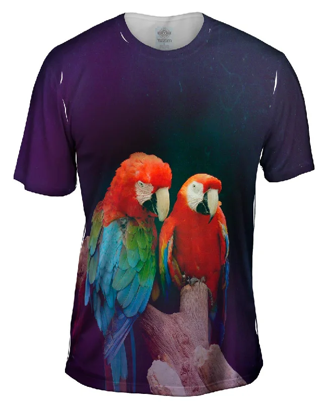 Pair of Macaws