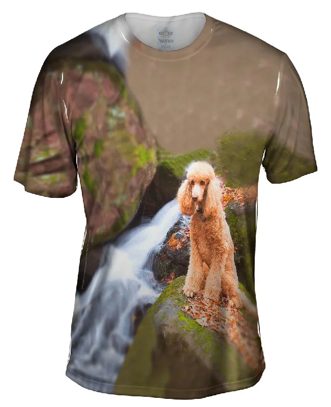 Poodle Up A Creek